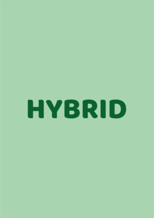 HYBRID SEEDS