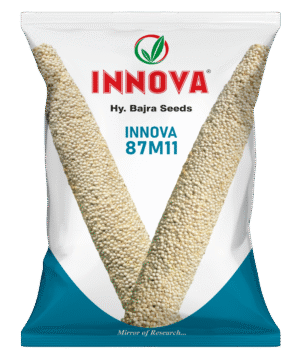 HY. BAJRA – INNOVA-87M11