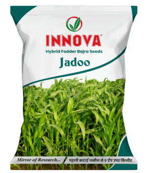 HY. FODDER BAJRA – JADOO