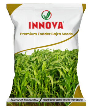 PREMIUM FODER BAJRA – INNOVA