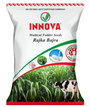 FODDER BAJRA - INNOVA