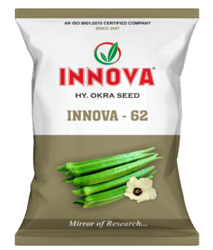 HY. BHINDI (OKRA) - INNOVA-62
