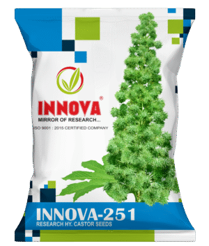 HY. CASTOR – INNOVA-251