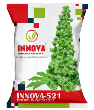 HY. CASTOR – INNOVA-521