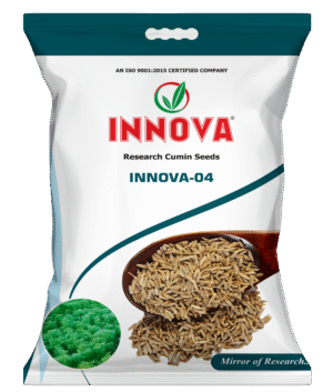 RE. CUMIN – INNOVA - 04