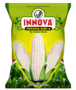 HY. MAIZE - INNOVA GSF-2