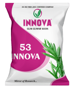RE. GUM GUWAR – INNOVA-53