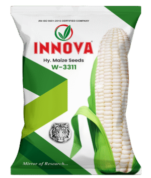 HY. MAIZE – W-3311