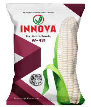 HY. MAIZE – W431