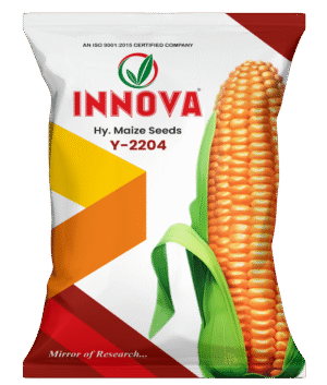 HY. MAIZE – 2204 (SINGLE CROSS)