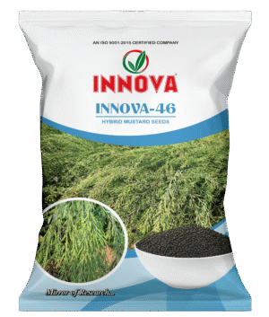 HY. MUSTARD – INNOVA – 46