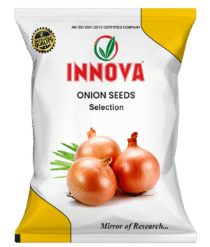 ONION - INNOVA (PILI PATTI)