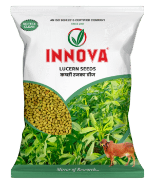 RAJKA BEEJ - INNOVA