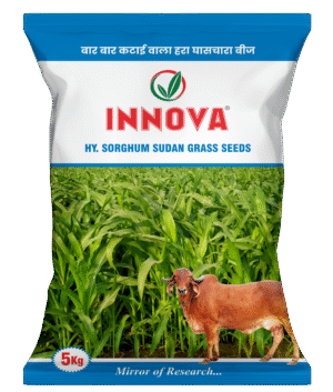 HY. S.S.G. - INNOVA