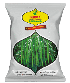 VEG. COWPEA (CHOLI) – INNOVA – 44+